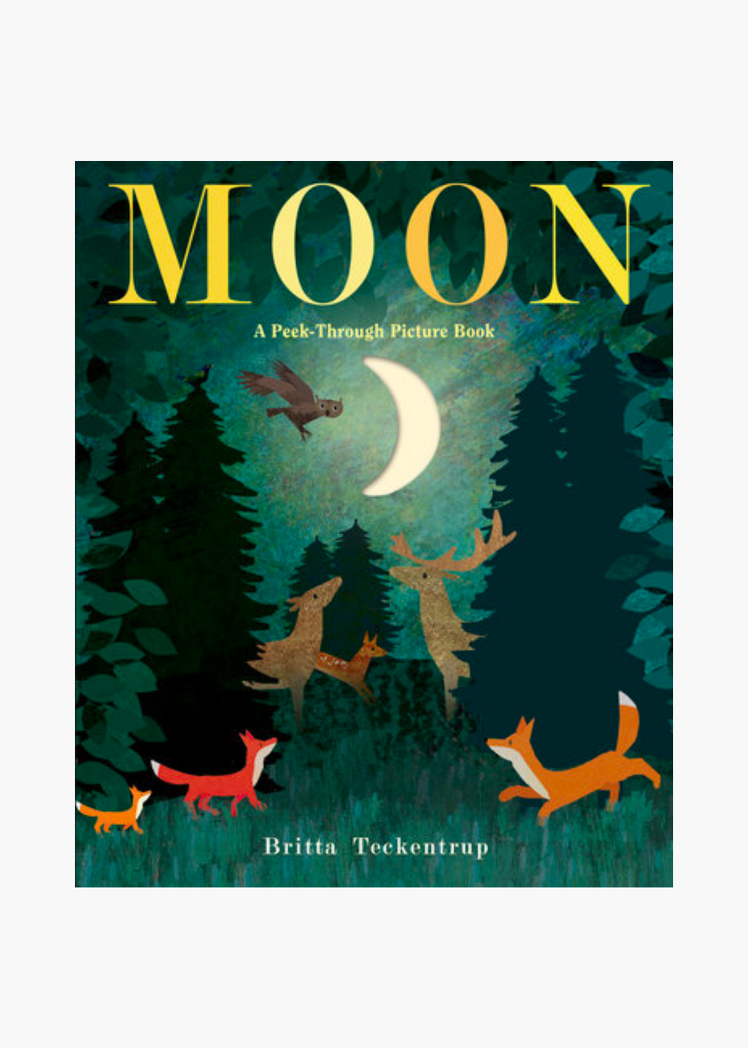 Moon: A Peek-Through Picture Book