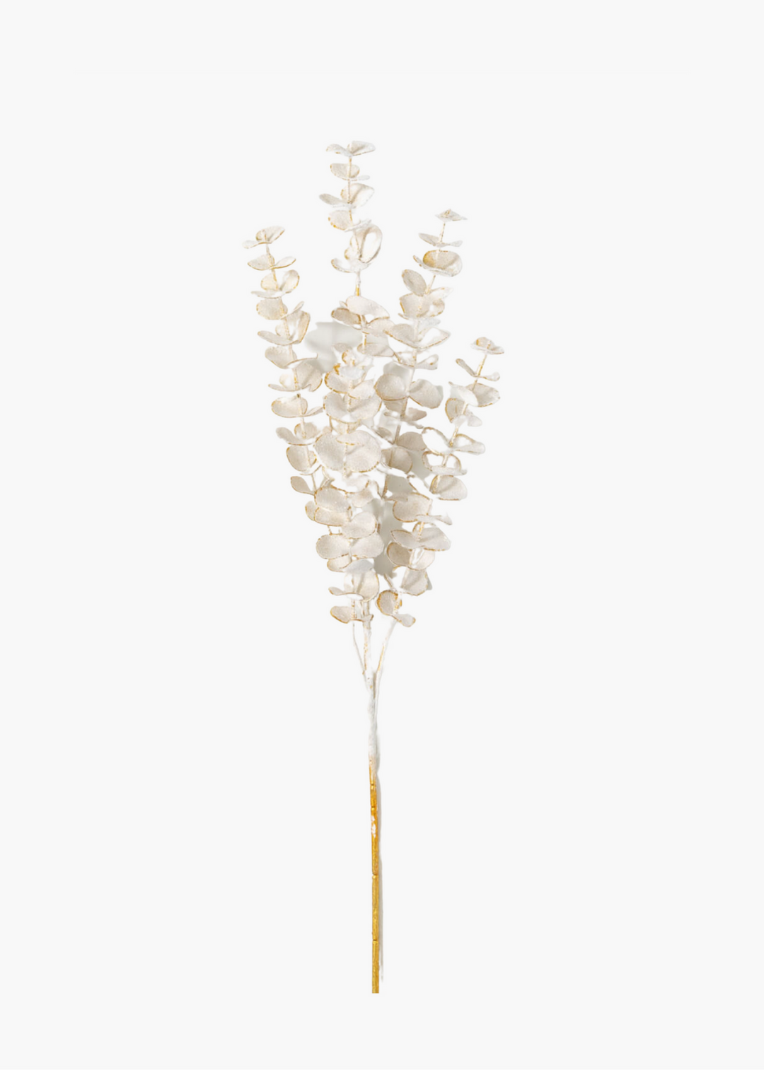 Frosted Eucalyptus Spray