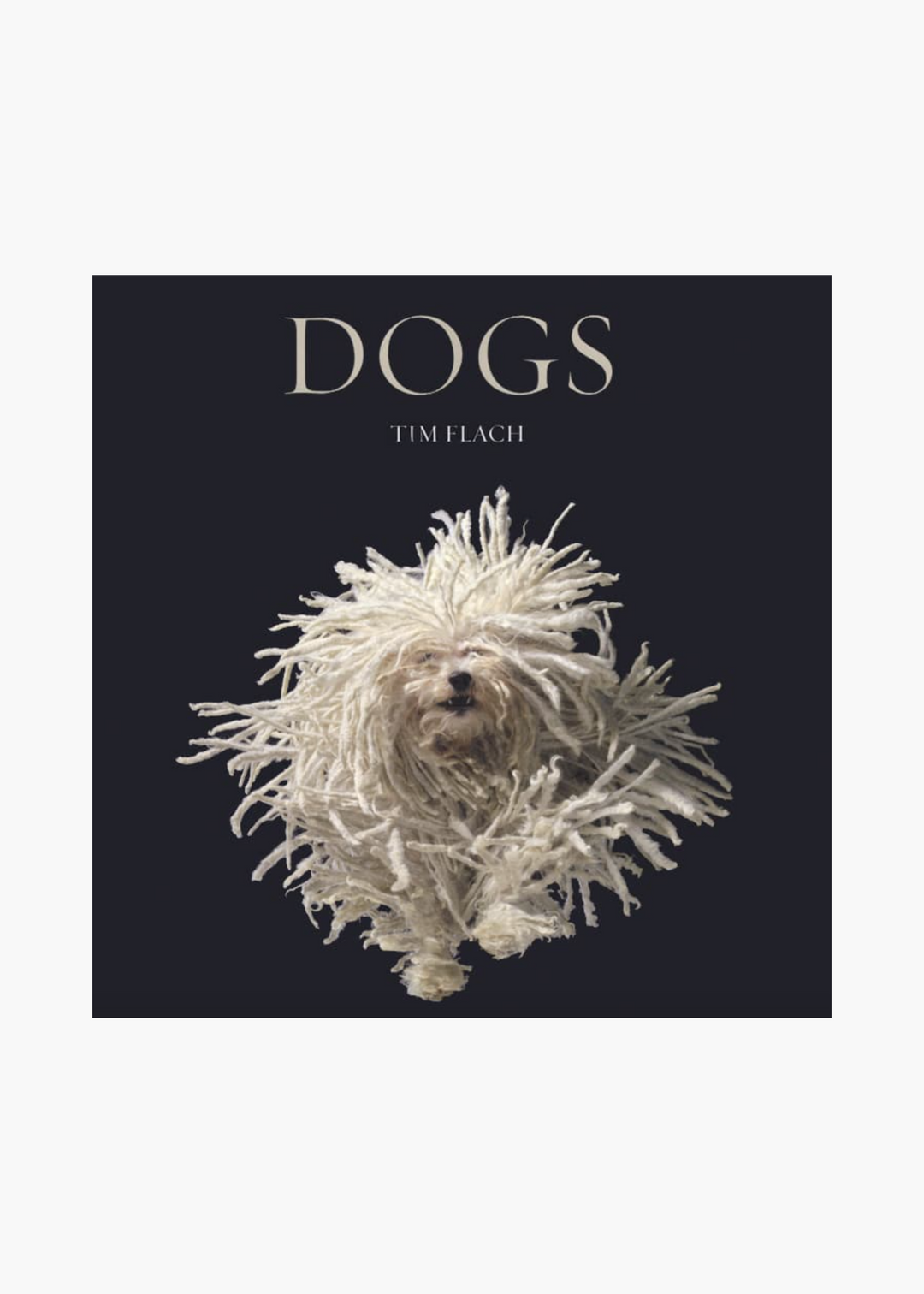 Dogs