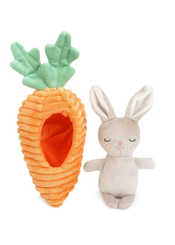 Bunny in Carrot Activity Toy