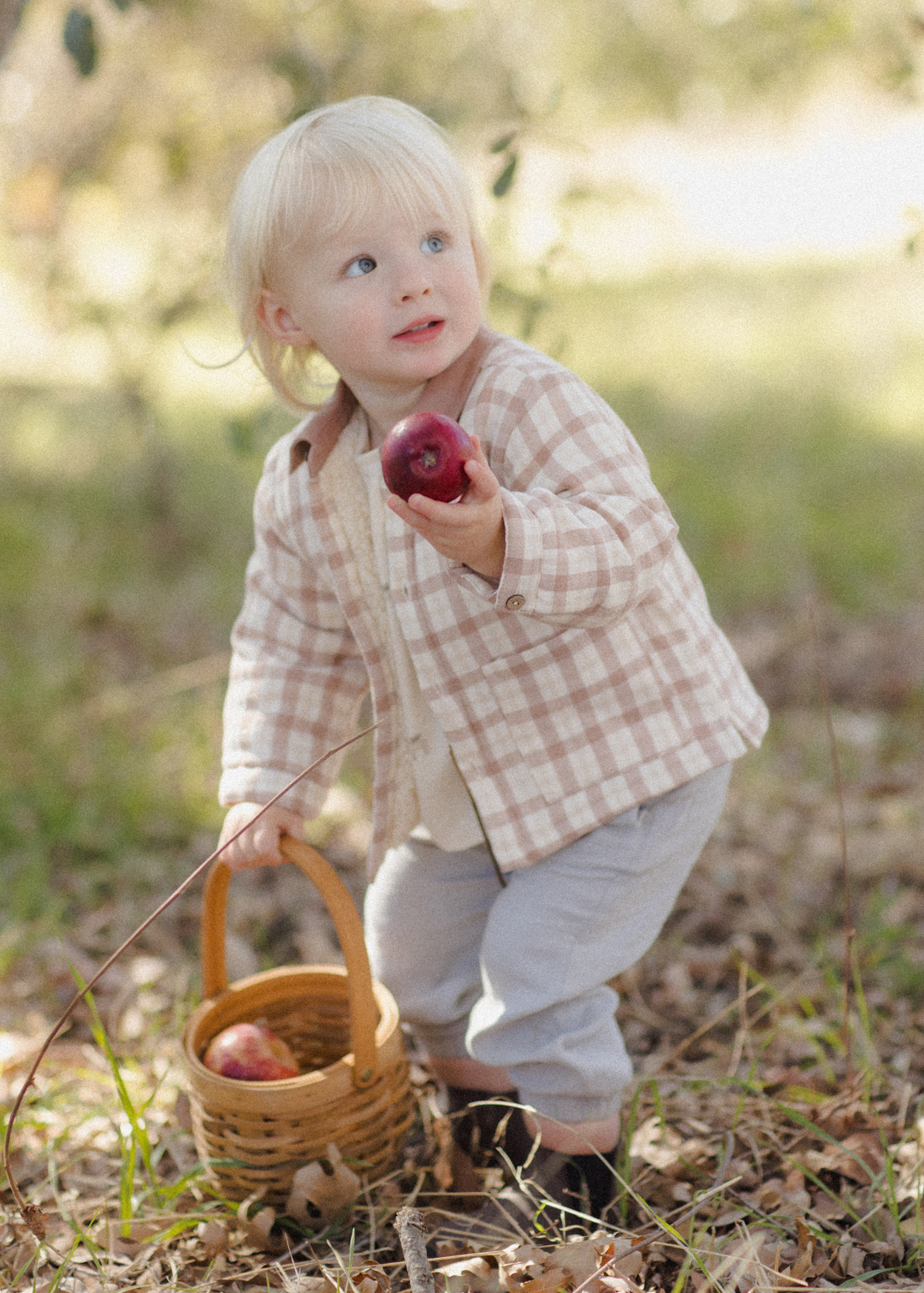 Ford Jacket || Rustic Plaid