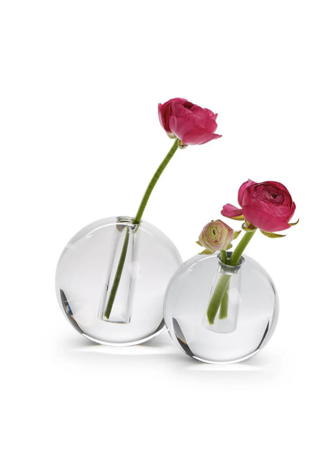 Crystal Circle Vase - Macy Carlisle