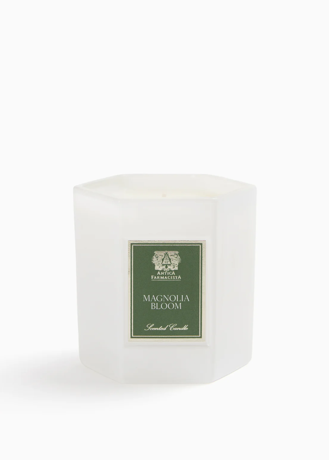 Magnolia Bloom Candle - Macy Carlisle