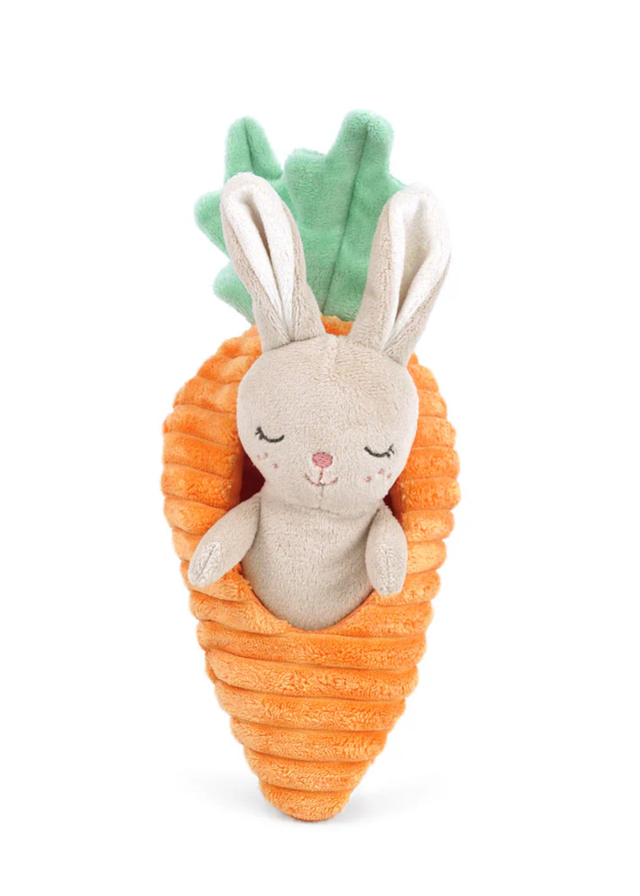 Bunny in Carrot Activity Toy