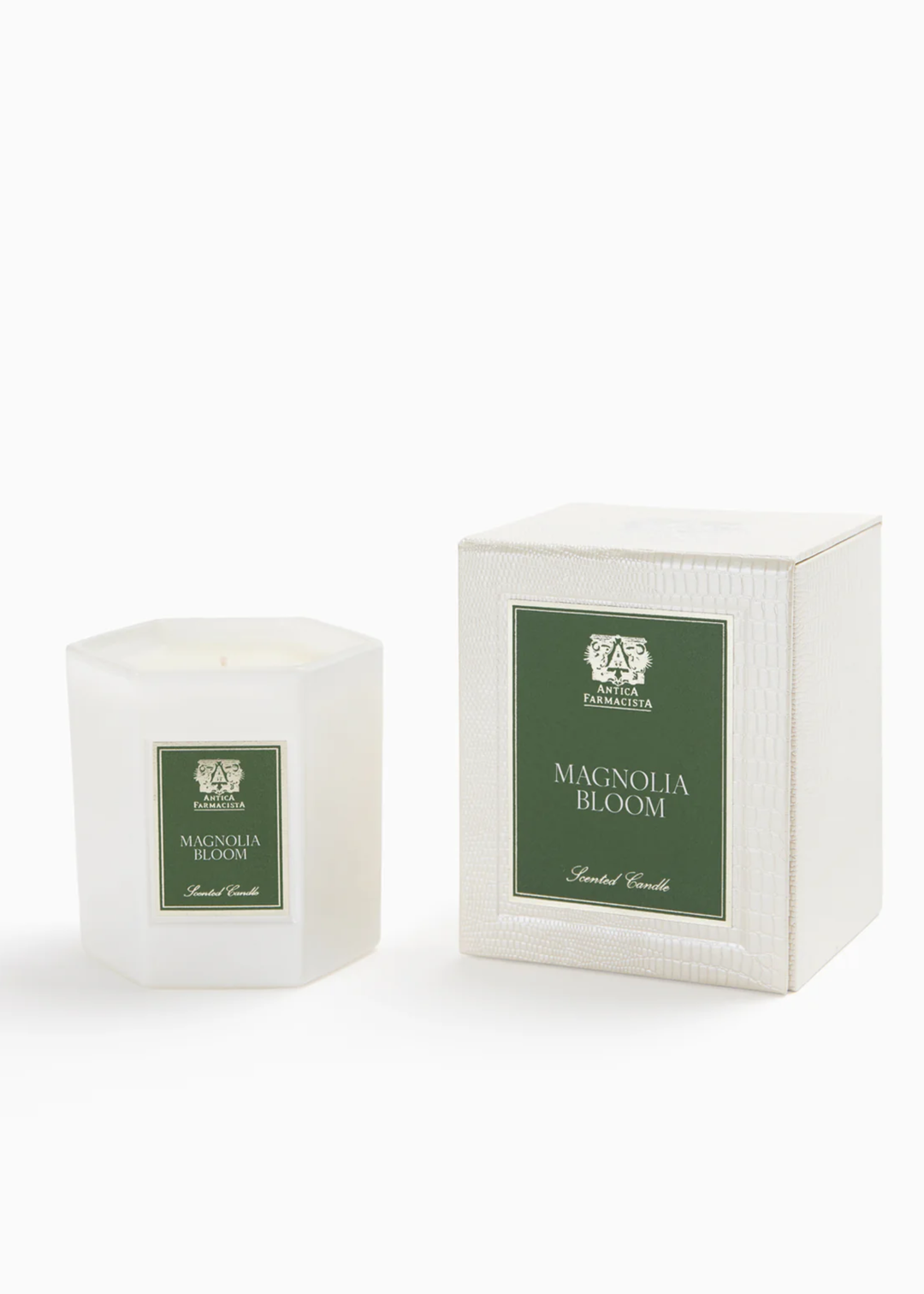 Magnolia Bloom Candle - Macy Carlisle