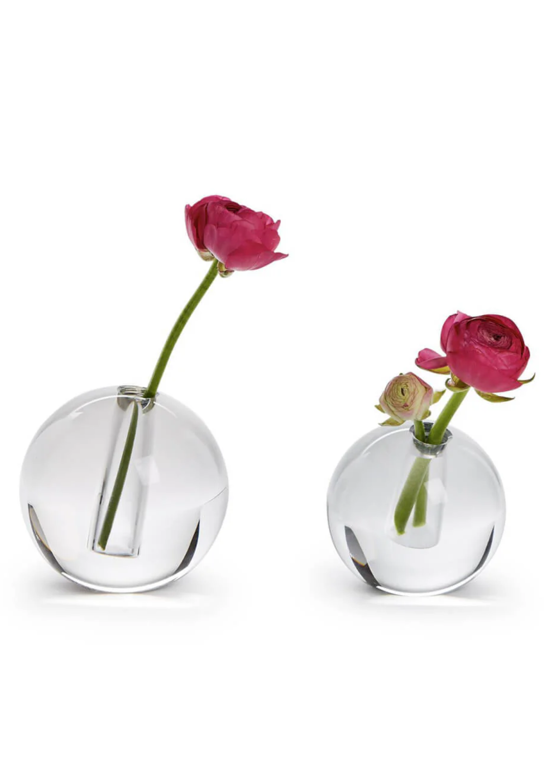 Crystal Circle Vase - Macy Carlisle