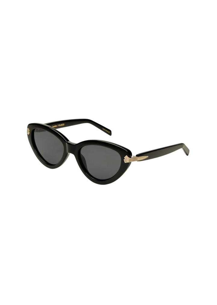 Coastline Polarized Sunglasses