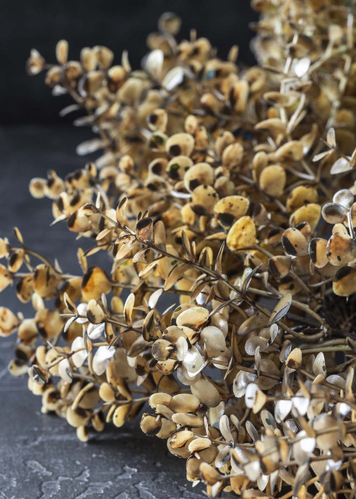Eucalyptus Desert Wreath