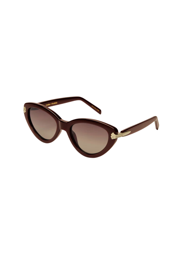 Coastline Polarized Sunglasses