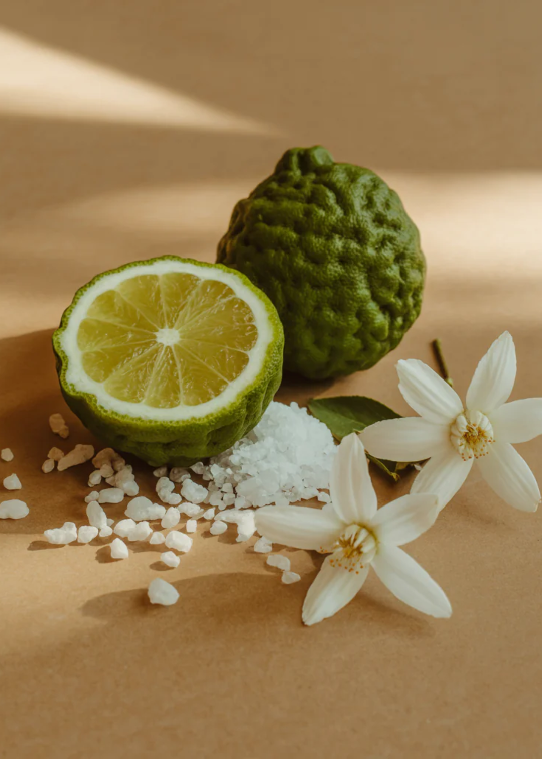 Studio McGee Sea Salt Driftwood Pura Refill