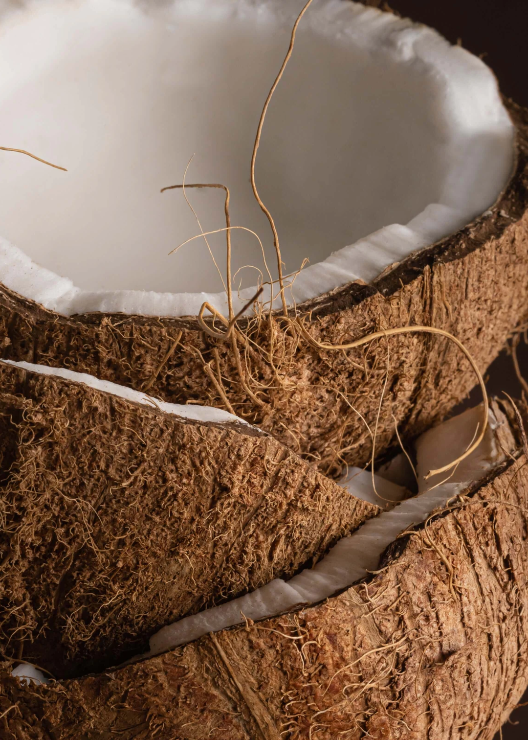 Coconut Sugar Pura Refill