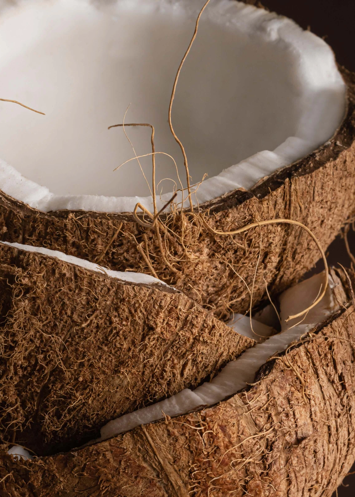 Coconut Sugar Pura Refill
