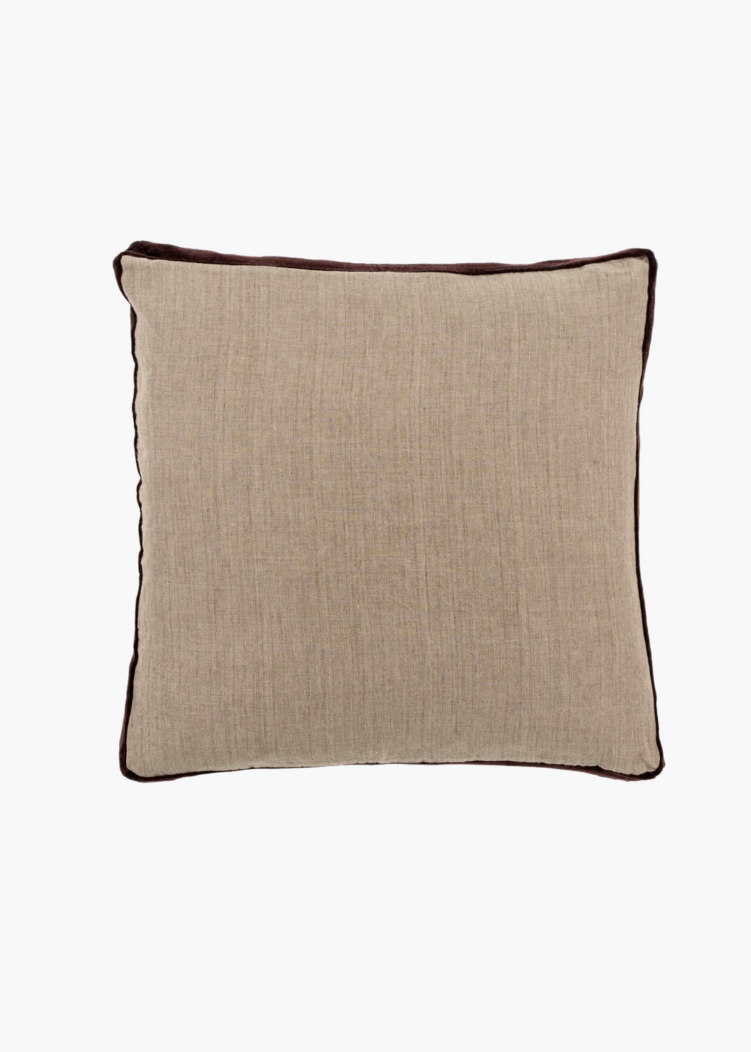 Velvet Trim Pillow