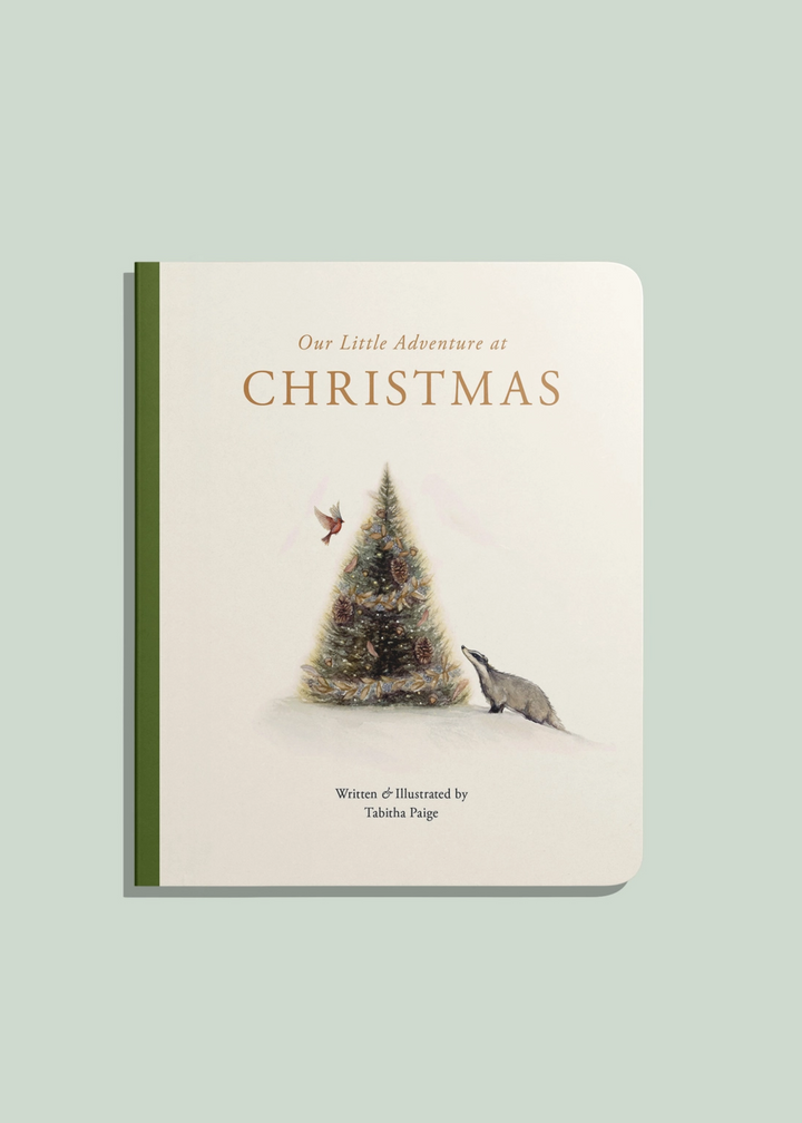 Our Little Adventure At Christmas