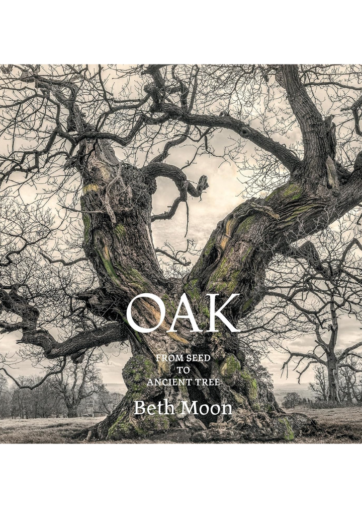 Oak: From Seed To Ancient Tree