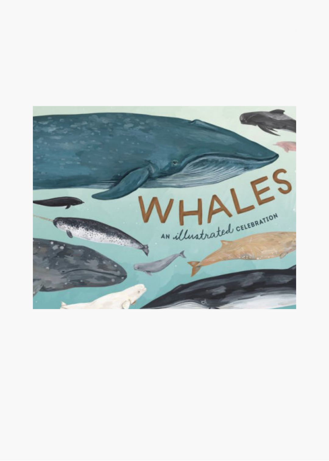 Whales: An Illustrated Celebration