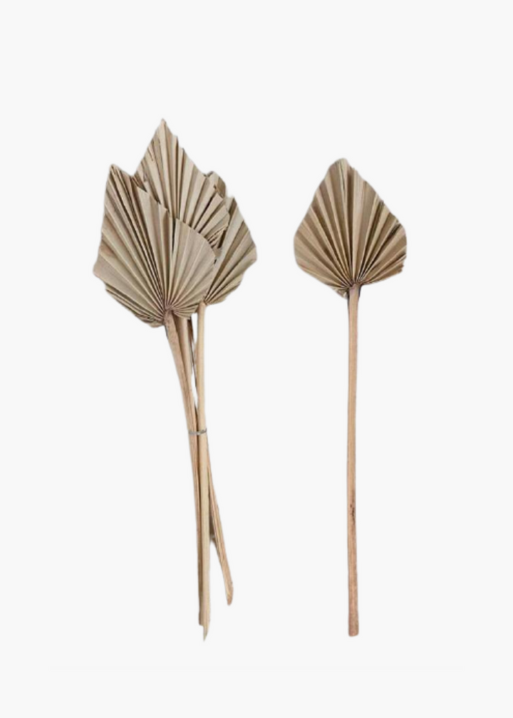 Dried Natural Palm Spear