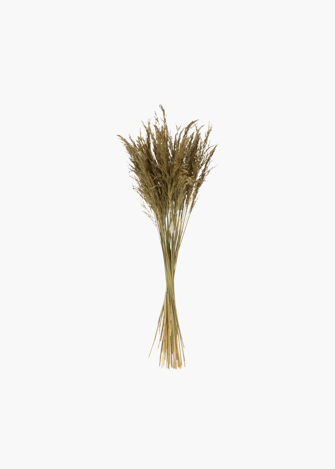 Natural Congo Grass