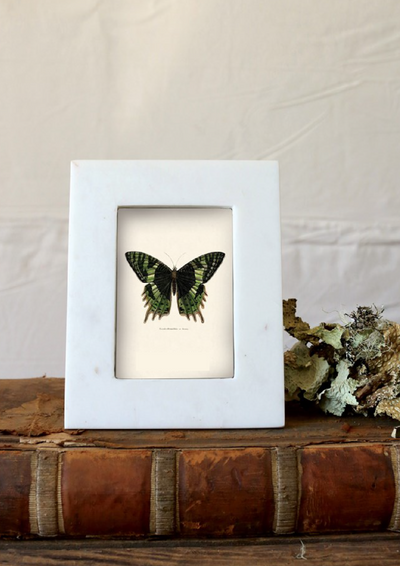 Marble Frame - Macy Carlisle