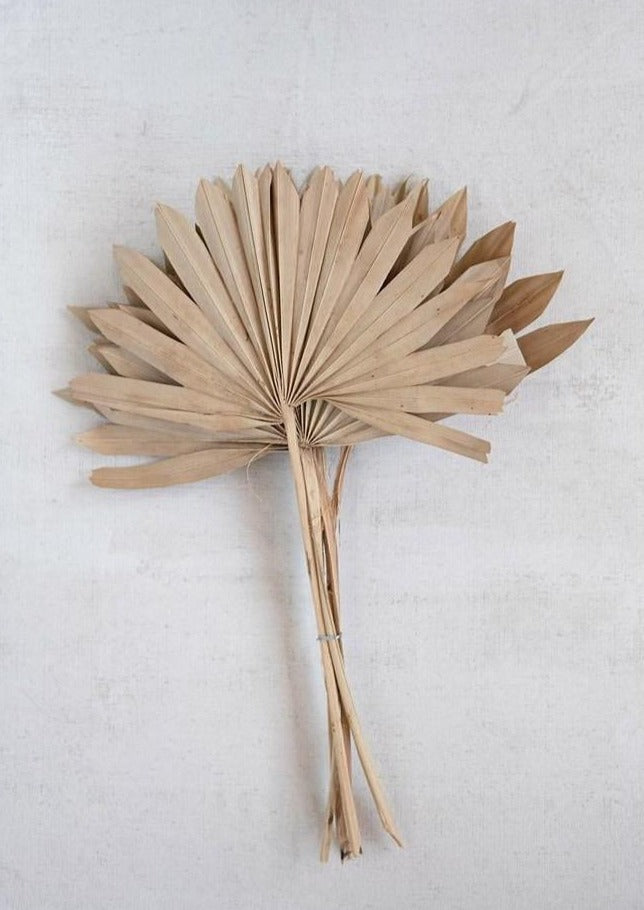 Dried Natural Sun Palm - Macy Carlisle